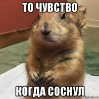 то чувство когда соснул