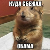 куда сбежал обама