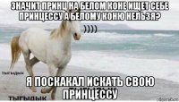 значит принц на белом коне ищет себе принцессу а белому коню нельзя? я поскакал искать свою принцессу