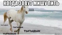 когда зовут мишу пить 