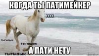 когда ты патимейкер а пати нету