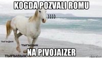 kogda pozvali romu na pivojaizer