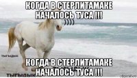 когда в стерлитамаке началось туса !!! когда в стерлитамаке началось туса !!!