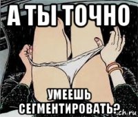 а ты точно умеешь сегментировать?