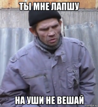 ты мне лапшу на уши не вешай