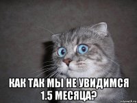  как так мы не увидимся 1.5 месяца?