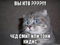 вы кто ????!!! чед смит или тони кидис