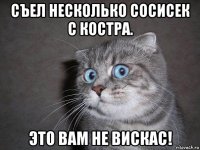 съел несколько сосисек с костра. это вам не вискас!