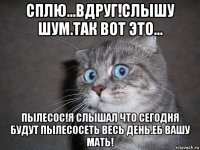 сплю...вдруг!слышу шум.так вот это... пылесос!я слышал что сегодня будут пылесосеть весь день.еб вашу мать!