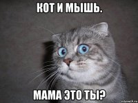 кот и мышь. мама это ты?