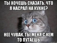 ты хочешь сказать, что я насрал на кухне? нее чувак, ты меня с кем то путаешь