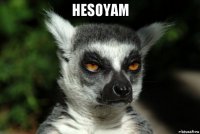 hesoyam 