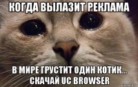 когда вылазит реклама в мире грустит один котик... скачай uc browser