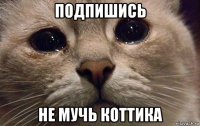 подпишись не мучь коттика