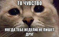 то чувство когда тебе неделю не пишет друг