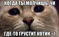 когда ты молчишь, чи где-то грустит котик =(