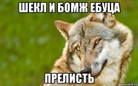 шекл и бомж ебуца прелисть