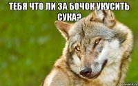 тебя что ли за бочок укусить сука? 