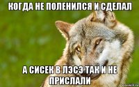 когда не поленился и сделал а сисек в лэсэ так и не прислали