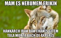 mam es nerumem erikin hankarch iran ban chanes gitem tula morta bach de axperes