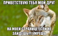 приветствую тебя мой друг на моей странице если не зайдешь!!! умрешь