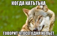 когда катьтька говорит чтосегодня не пьет