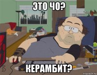 это чо? керамбит?