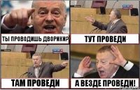 ТЫ ПРОВОДИШЬ ДВОРИКИ? ТУТ ПРОВЕДИ ТАМ ПРОВЕДИ А ВЕЗДЕ ПРОВЕДИ!