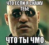 что если я скажу тебе что ты чмо