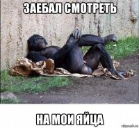 заебал смотреть на мои яйца