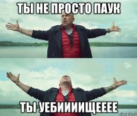 ты не просто паук ты уебиииищееее