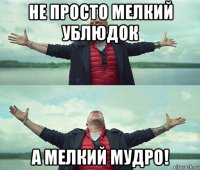 не просто мелкий ублюдок а мелкий мудро!