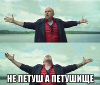  не петуш а петушище