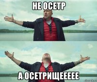 не осетр а осетрищеееее