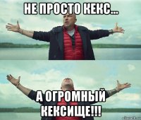 не просто кекс... а огромный кексище!!!