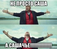 не просто саша а сашачье!!!!!!!!!!!!!!!