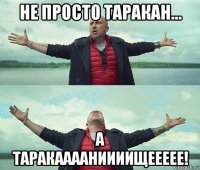 не просто таракан... а таракааааниииищеееее!