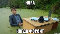 нора когда форсит