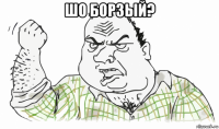 шо борзый? 