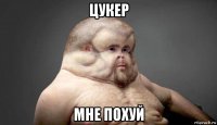 цукер мне похуй