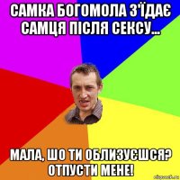 самка богомола з'їдає самця після сексу... мала, шо ти облизуєшся? отпусти мене!