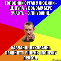 головний орган у людини - це дупа. у всьому бере участь - в лікуванні, навчанні, вихованні, прийнятті рішень і пошуку пригод.