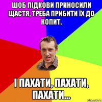 шоб підкови приносили щастя, треба прибити їх до копит, і пахати, пахати, пахати...