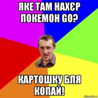 яке там нахєр покемон go? картошку бля копай!