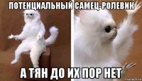 потенциальный самец-ролевик а тян до их пор нет