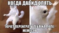 когда давид опять хочет переиграть тебя на поле мемесов