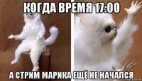 когда время 17:00 а стрим марика ещё не начался