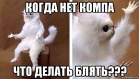 когда нет компа что делать блять???