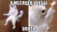 9 месяцев учёбы опять