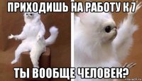 приходишь на работу к 7 ты вообще человек?